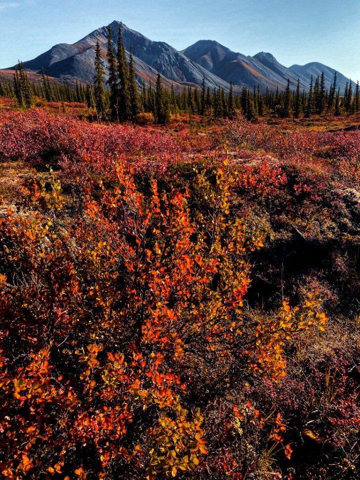 Fall foliage at Last Lake