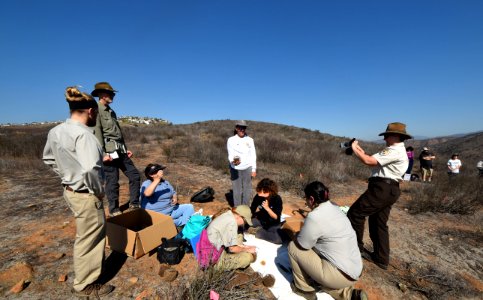 The group working diligently to release Quino larvae