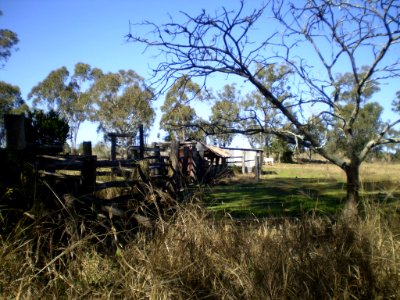 DIP YARD