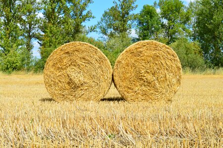 Harvesting straw bale photo