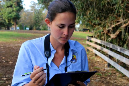 U.S. Fish and Wildlife Service biologist Colleen Grant records data on monarch sightings at Camino Real Park in Ventura. Ashley Spratt USFWS photo