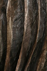 Nature carving wood