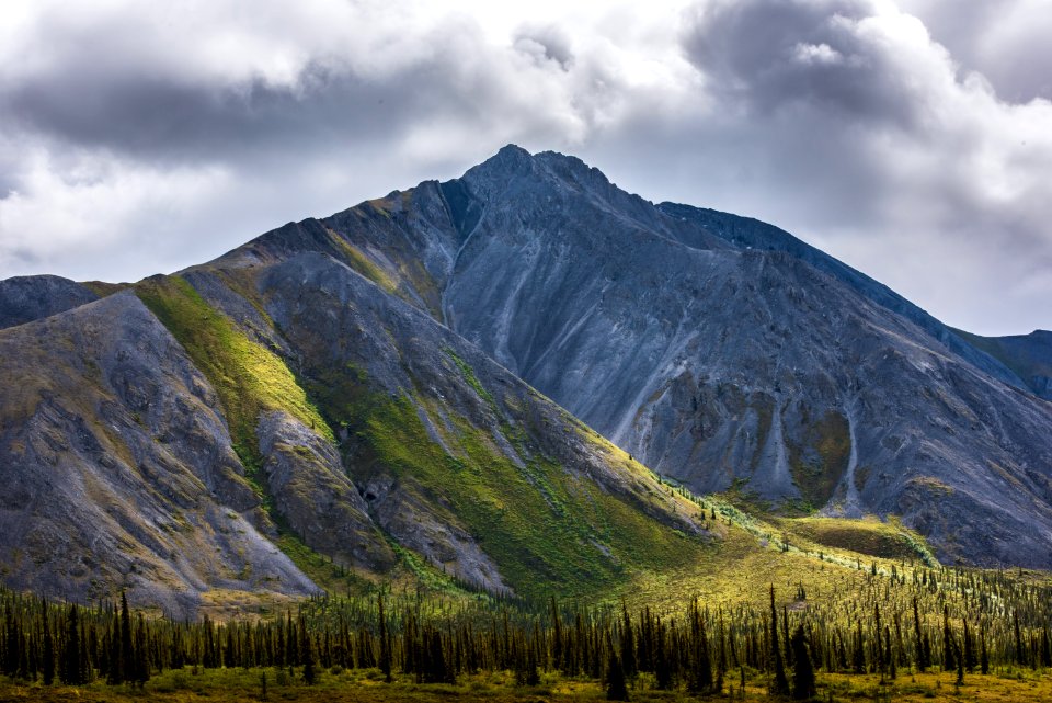 Arctic Refuge - Sheenjek River
