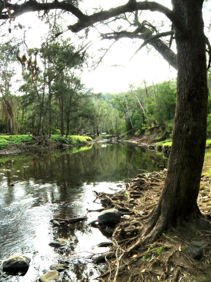 ANOTHER UPSTREAM VIEW