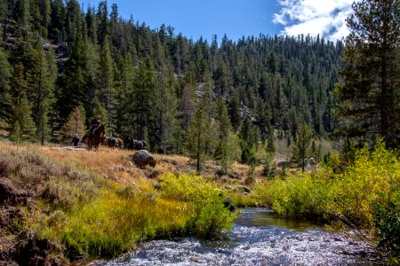 Silver King Creek