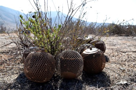 Pods are staged while the site is set-up