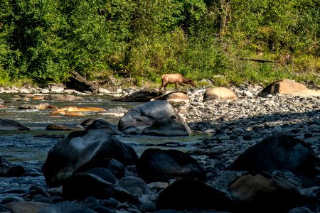 20190807-NRCS-LSC-0716