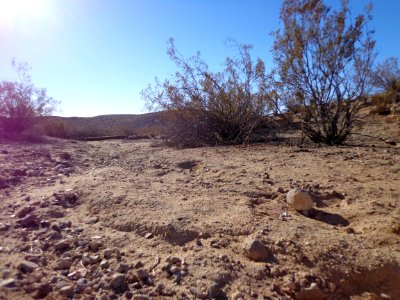 Desert Landscape photo