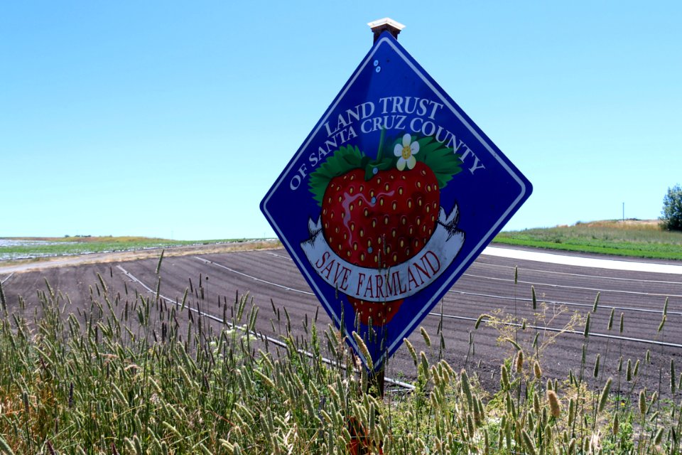 Watsonville Slough Farm in Santa Cruz County, California.