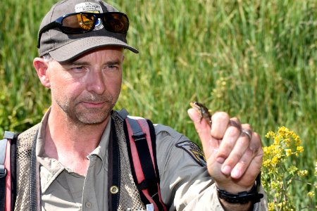 Service biologist Chad Mellison holds Columbia spotted frog photo