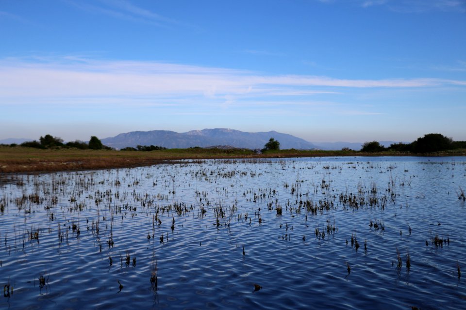 Vernal Pool at Santa Rosa Plateau