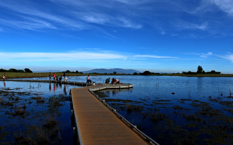 Vernal Pool at Santa Rosa Plateau