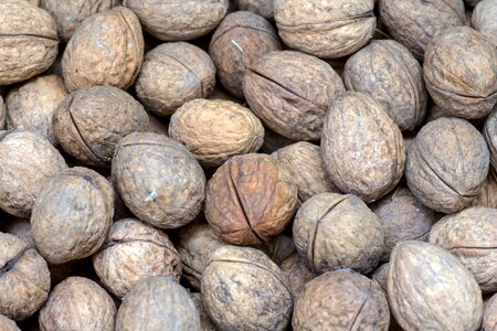 Close up fruit bowl walnut