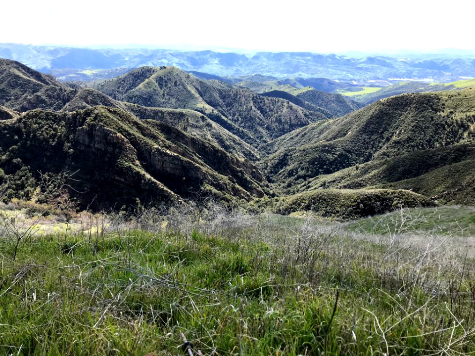 A view of Pole Canyon.