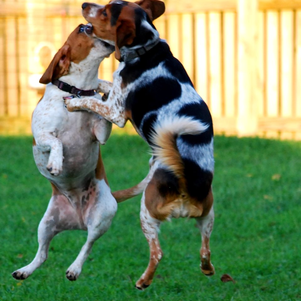 Jump
