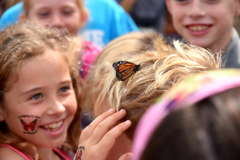 The last monarch butterfly released lands on student's head