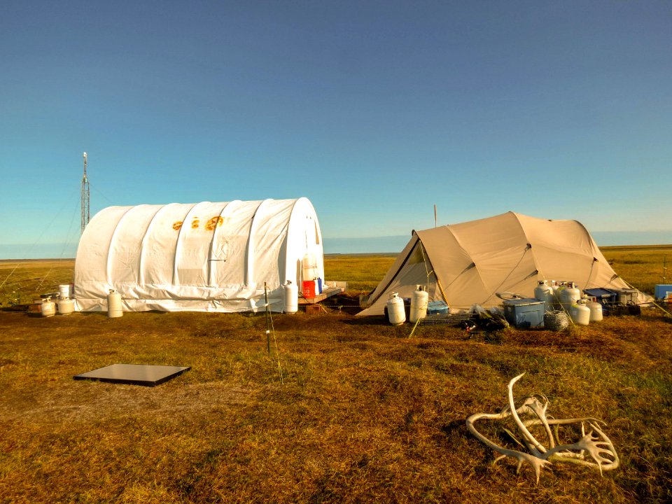 2019 Arctic Virtual Bird Fest