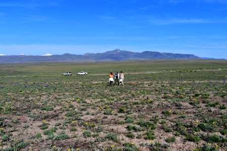 Native plants naturally released from the soil seed bank after the Martin Fire