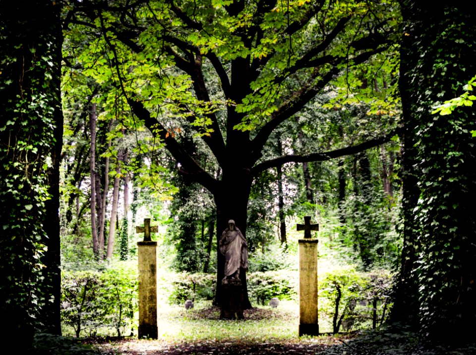 Friedhof
