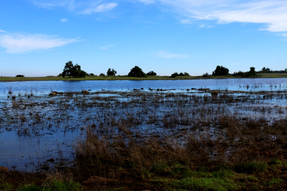 Vernal Pool at Santa Rosa Plateau