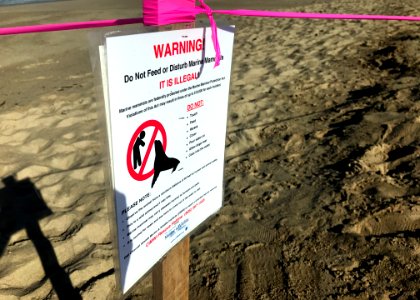 A sign advises beachgoers to avoid disturbing marine wildlife after an unusual number of ill or deceased marine wildlife washed up on Ventura and Santa Barbara county beaches.