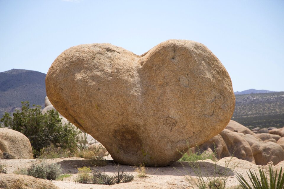 Desert romantic symbol