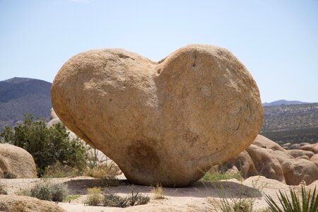 Desert romantic symbol