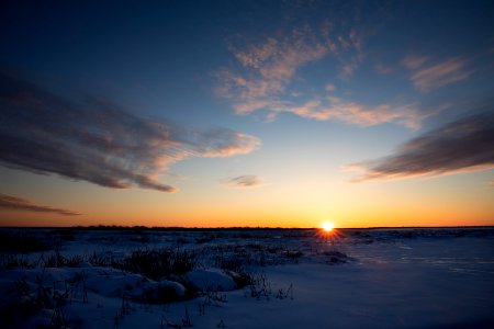 Lynx Project At Yukon Flats National Wildlife Refuge photo