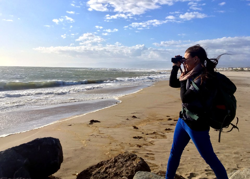 Karen Sinclair, a fish and wildlife biologist with the U.S. Fish and Wildlife Service in Ventura braces against the wind while looking for brown pelicans during the biannual brown pelican survey held along the West Coast.