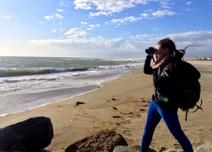 Karen Sinclair, a fish and wildlife biologist with the U.S. Fish and Wildlife Service in Ventura braces against the wind while looking for brown pelicans during the biannual brown pelican survey held along the West Coast. photo