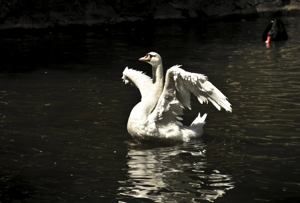 Light white reflection