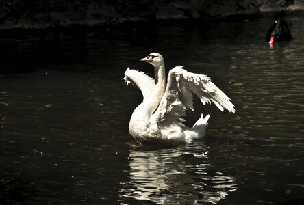 Light white reflection