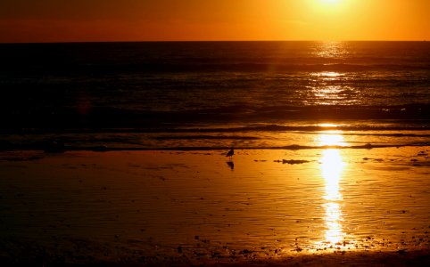 Vibrant sunset along southern California beach photo