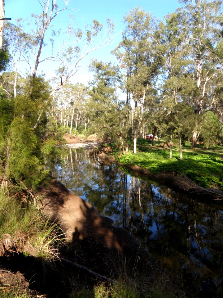 LOOKING DOWN STREAM