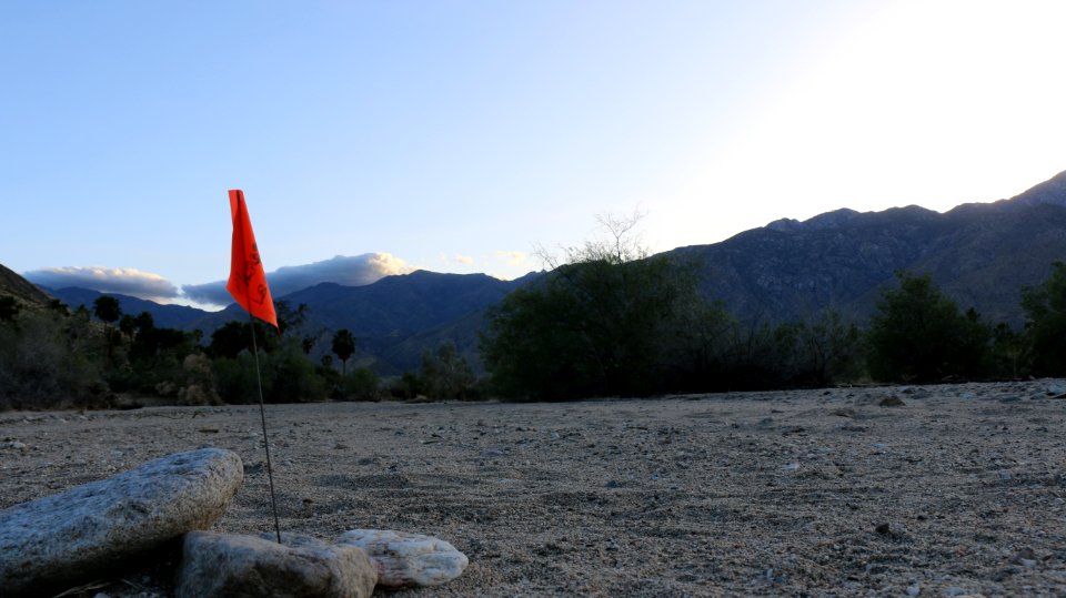 Casey's June beetle survey site