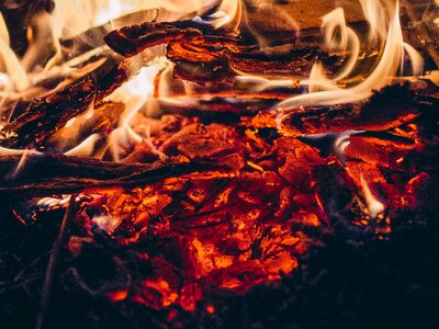 Burning campfire camping photo