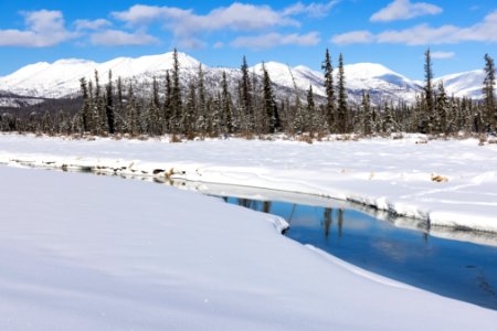 Hidden Creek in the snow photo