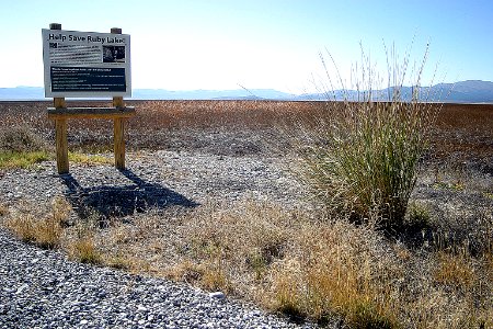 Help Save Ruby Lake!