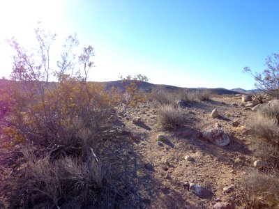 Desert Landscape photo