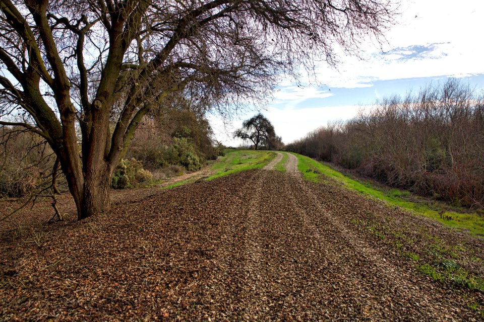 San Joaquin River National Wildlife Refuge