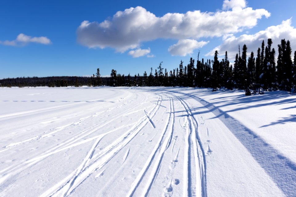 Ski trails at Headquarters Lake, Kenai National Wildlife Refuge.