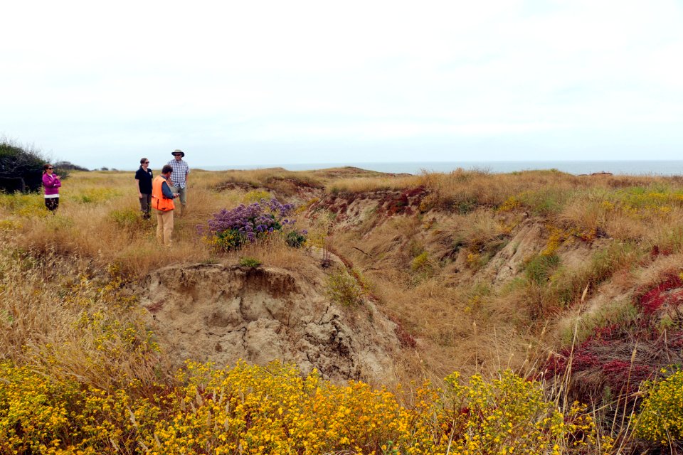 Vernal pool restoration site at Camp Pendleton