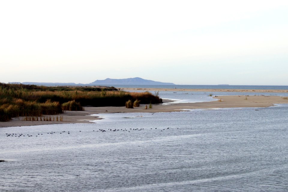 The Santa Clara River estuary.