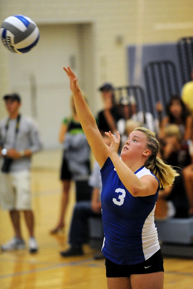 Serve net game photo