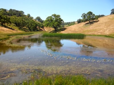 Pond H photo