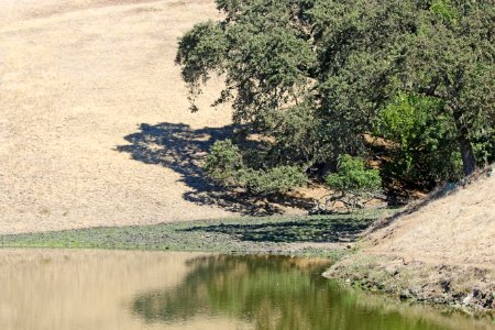 McClure pond photo