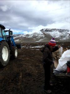 Mixing in the Field