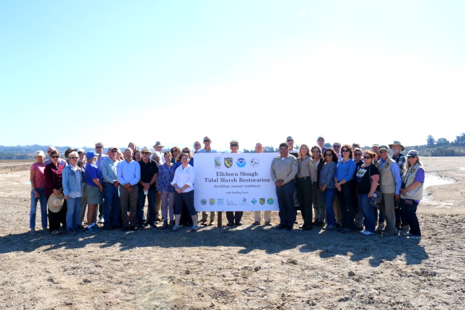 Elkhorn Slough designated "Wetland of International Importance"