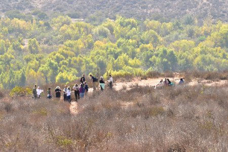 View of Quino checkerspot butterfly larvae release site from above