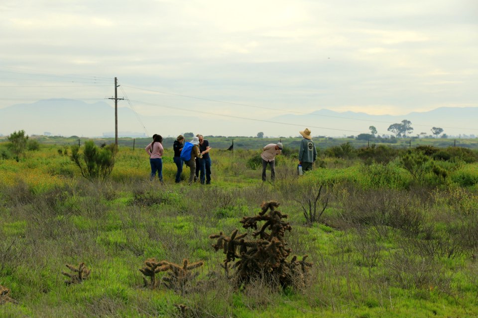 Vernal pool restoration site visit with Caltrans, SANDAG & USFWS staff